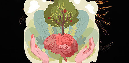 Transmisión de información entre neuronas Los neurotransmisores son importantes para la transmisión de la información