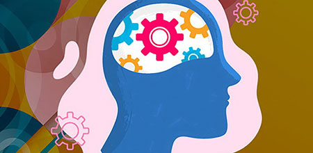 Estudios recientes sobre el cerebro humano El cerebro humano es bastante complejo por lo que ha sido altamente estudiado